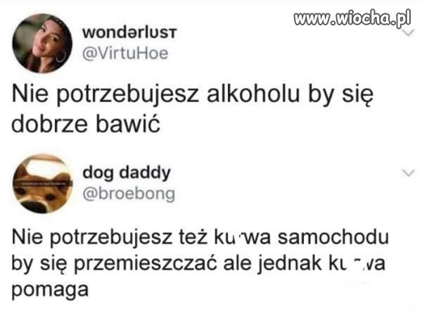 Świetna riposta