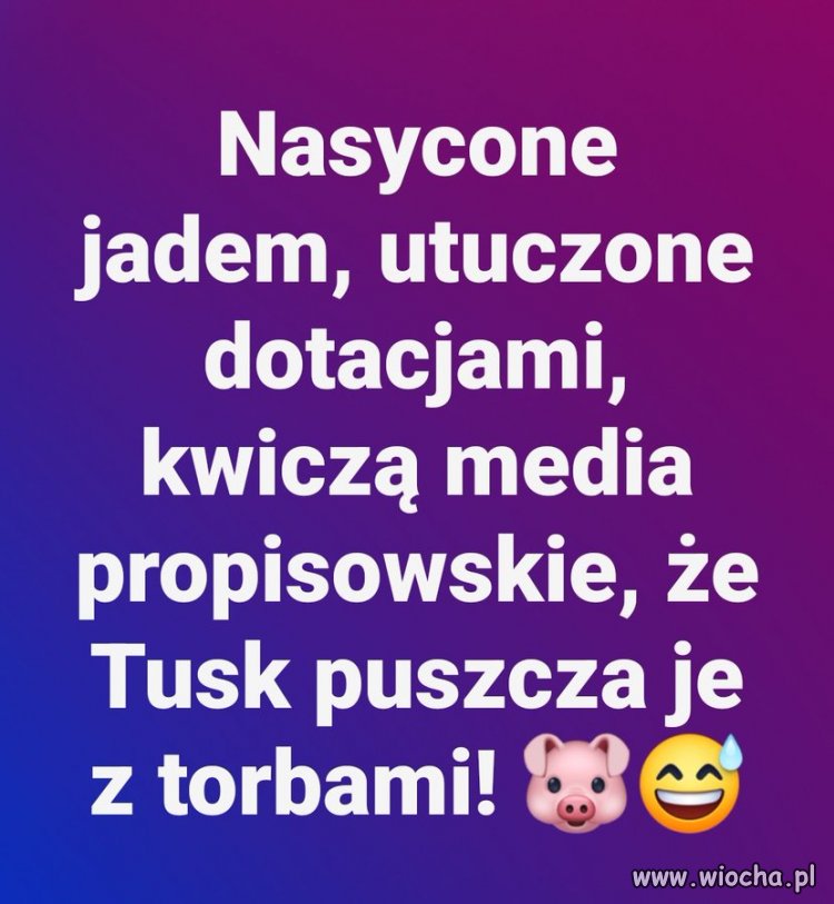 Słychać kwik ryjów odcinanych od koryta?
