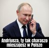 Będzie trzecia kadencja, wasalna 