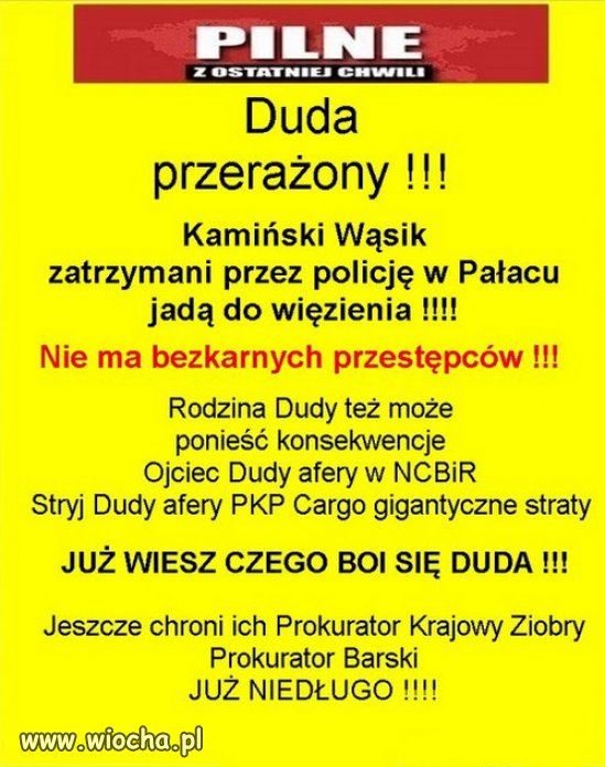 Ale siara, przestępcy chronią się u kumpla. Świat się śmieje.