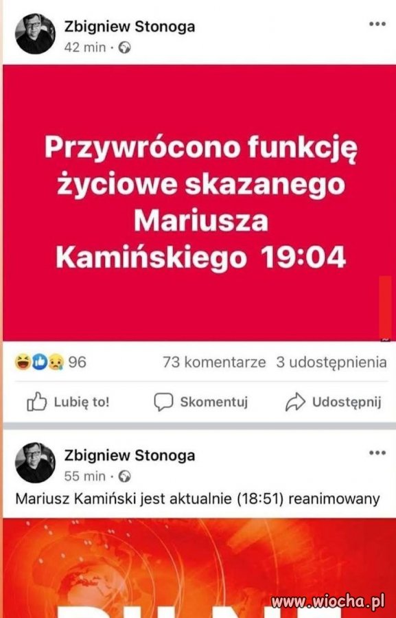Jajcarz Stonoga