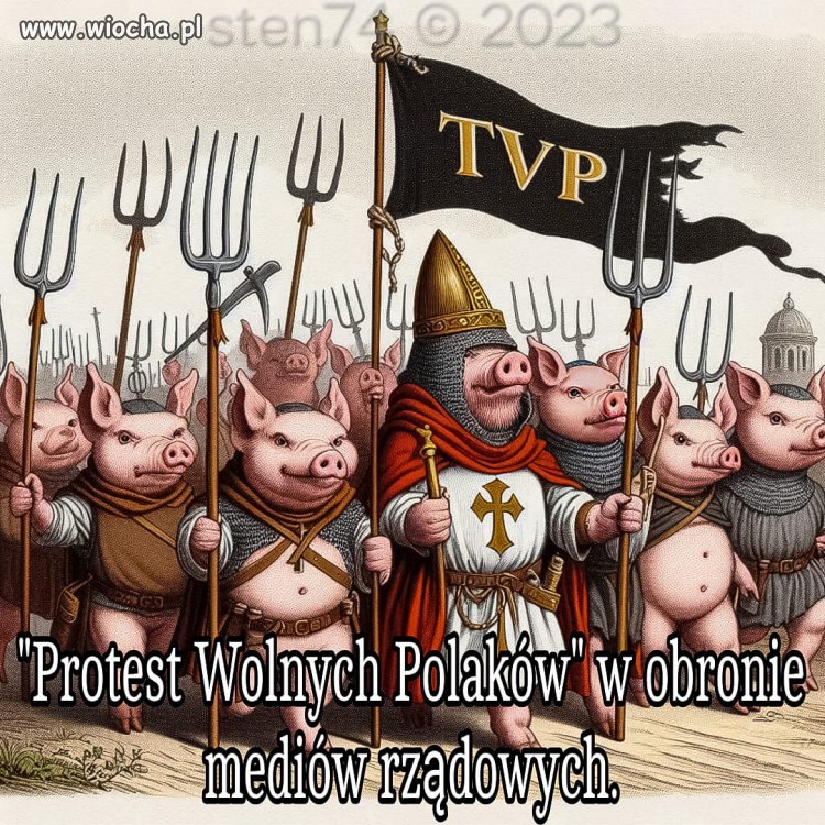 To już 11.01 Polni Wolacy ruszą bronić szczujni !