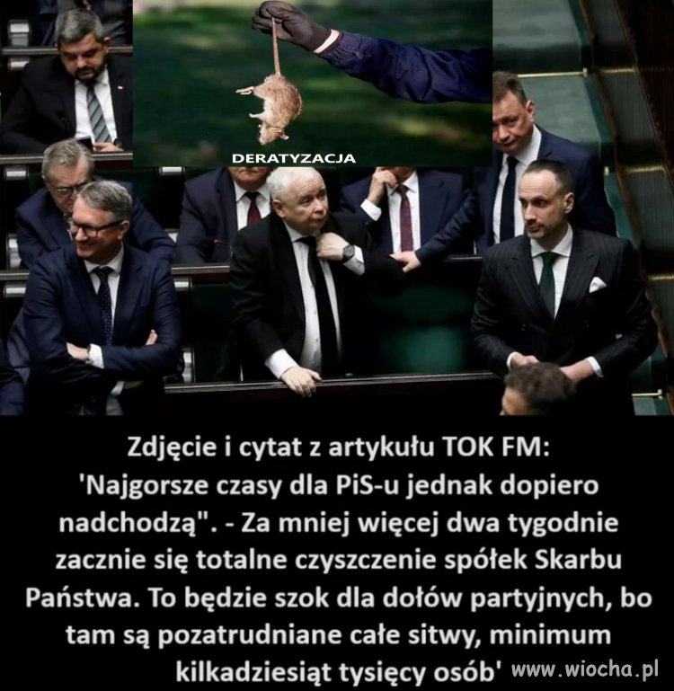 Już niedługo odszczurzanie