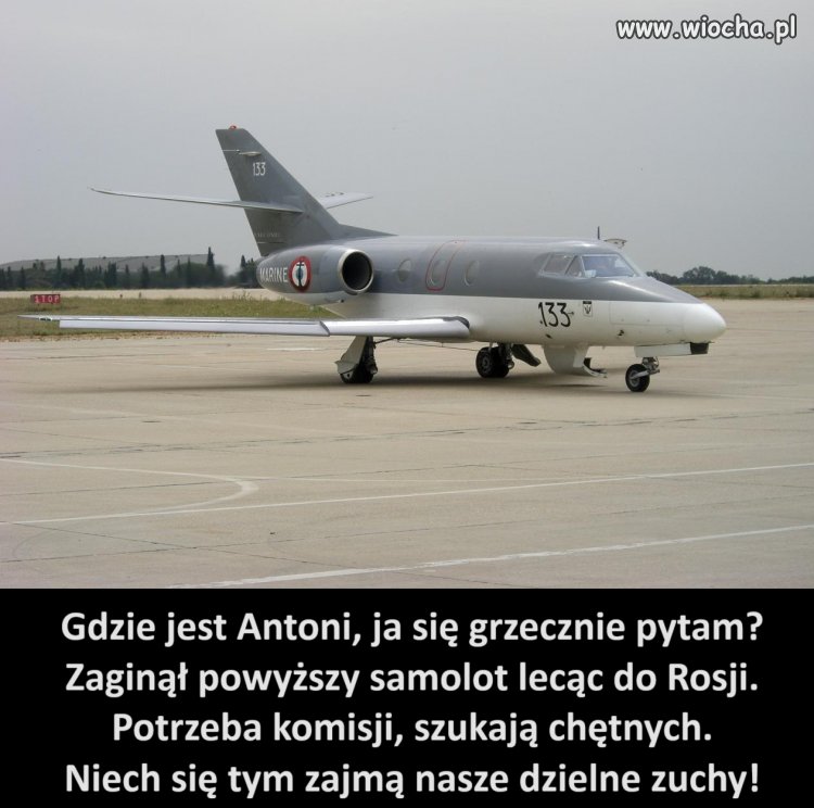 Żądamy oddania nam Antoniego!