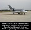 Żądamy oddania nam Antoniego!