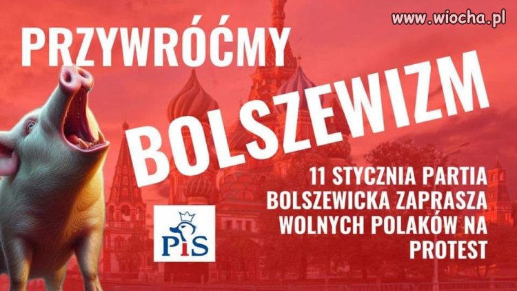 Towarzysze, pomożecie? Zróbcie to dla partii ...