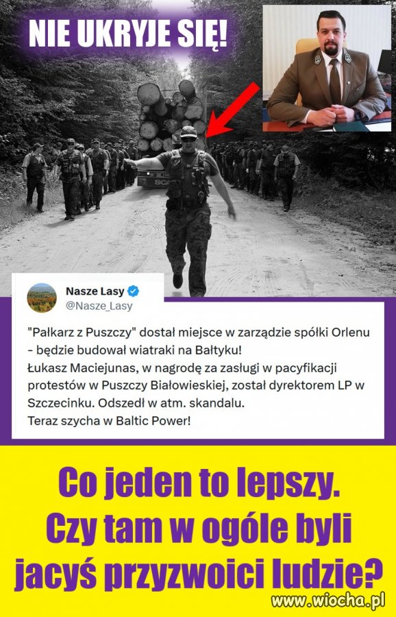 Pomalutku! Wszyscy się znajdą!