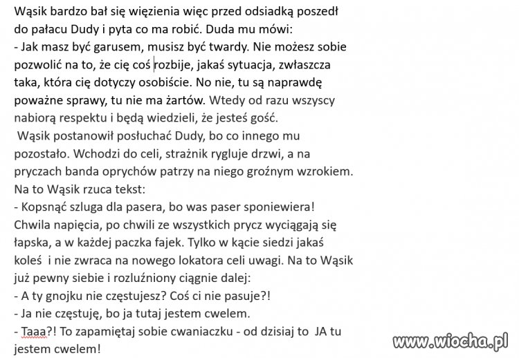 Wąsik idzie do sanatorium