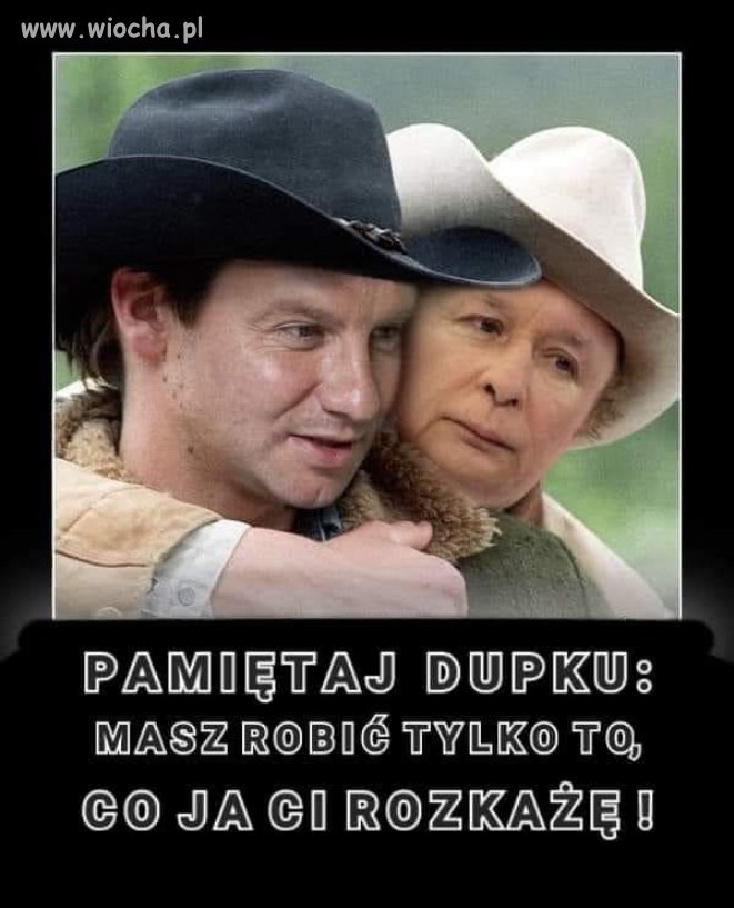 Pan mówi, sługa musi ...