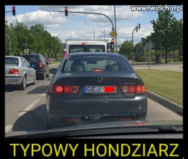 Hondziarz.