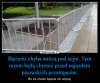 Kiedyś ochrona pisowców