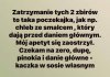 Teraz czekamy na danie główne !