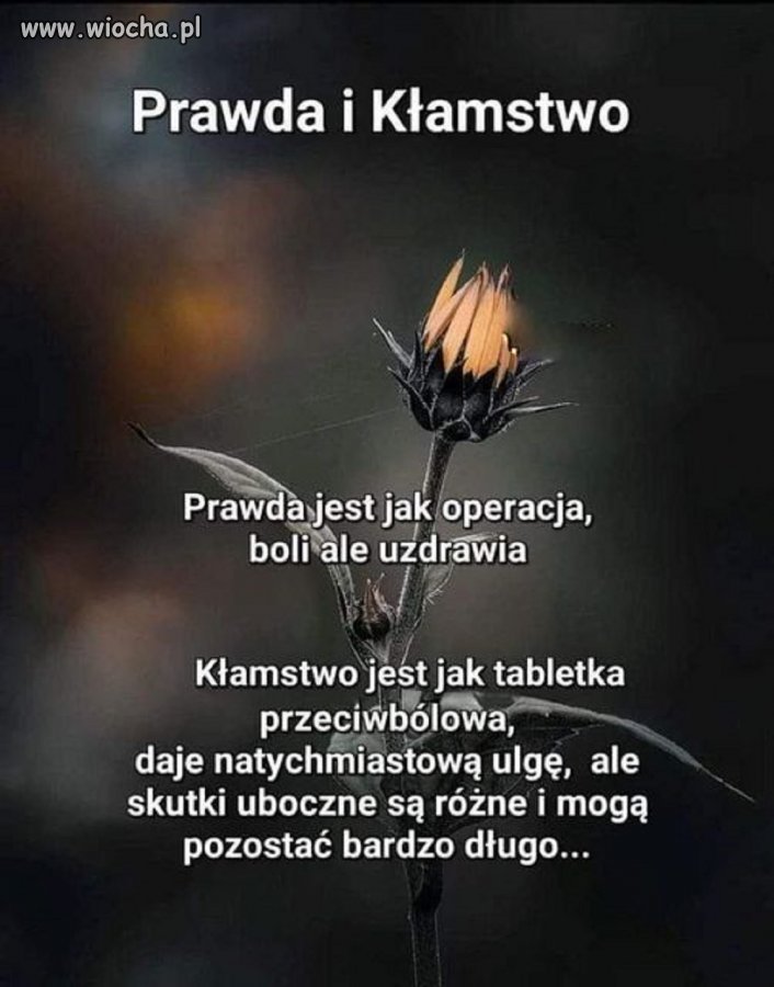 O prawdę ludzie gniewają się najbardziej