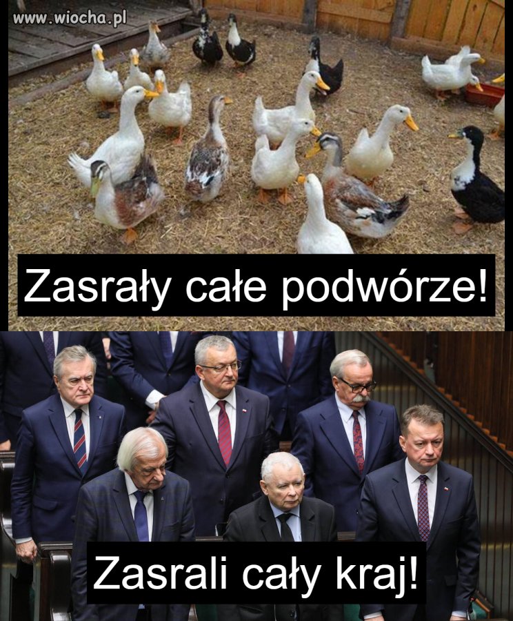 Wspólny mianownik!