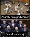 Wspólny mianownik!