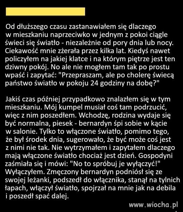 Z daleka od polityki