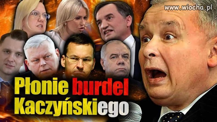 Oj jak mi ich wcale nie szkoda ...