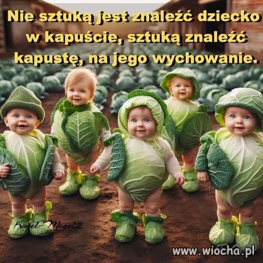 I tak to w sumie jest