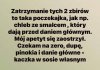 Koło sprawiedliwości ruszyło