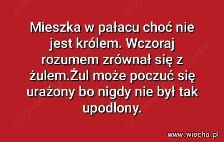 Zgaduj zgadula. Czy wiesz o kogo chodzi ?