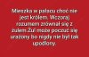 Zgaduj zgadula. Czy wiesz o kogo chodzi ?