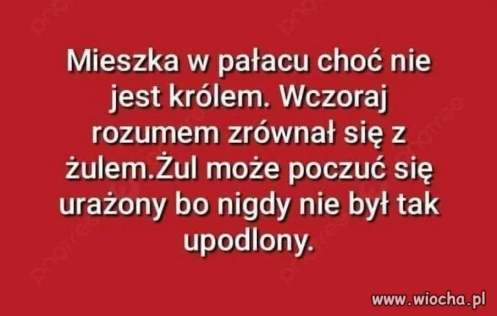 Zgaduj zgadula. Czy wiesz o kogo chodzi ?