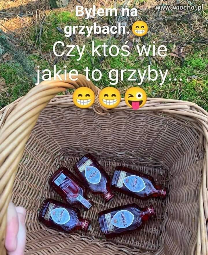 Pytanie.