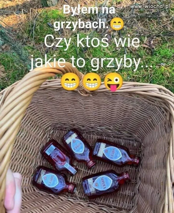 Pytanie.