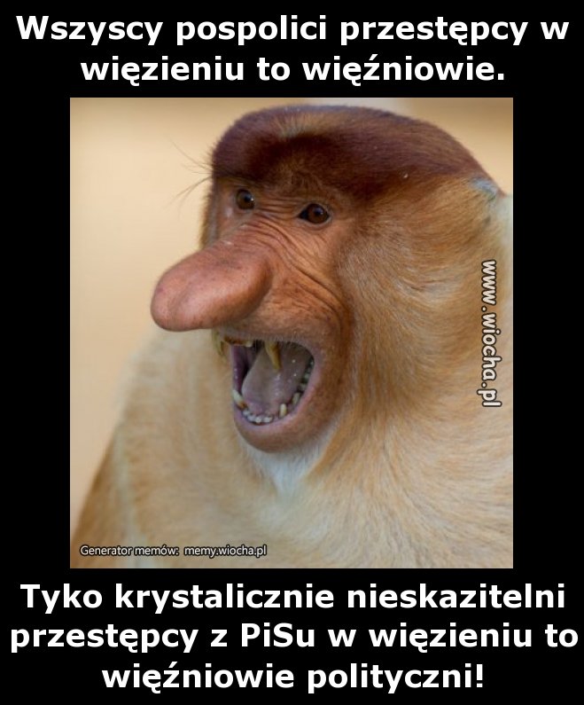 Wszyscy pospolici przestępcy w więzieniu to
