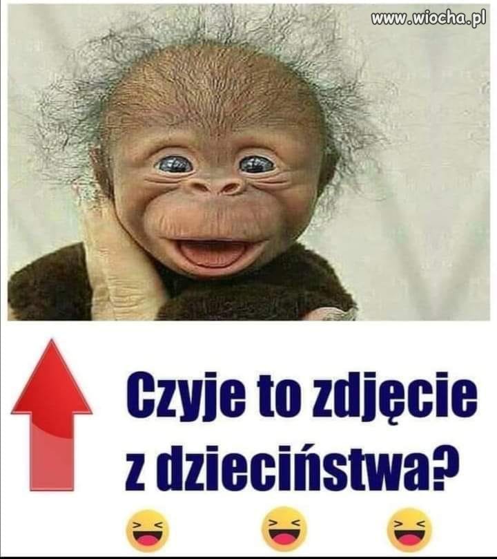 Czyje to zdjęcie?