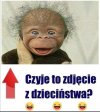 Czyje to zdjęcie?