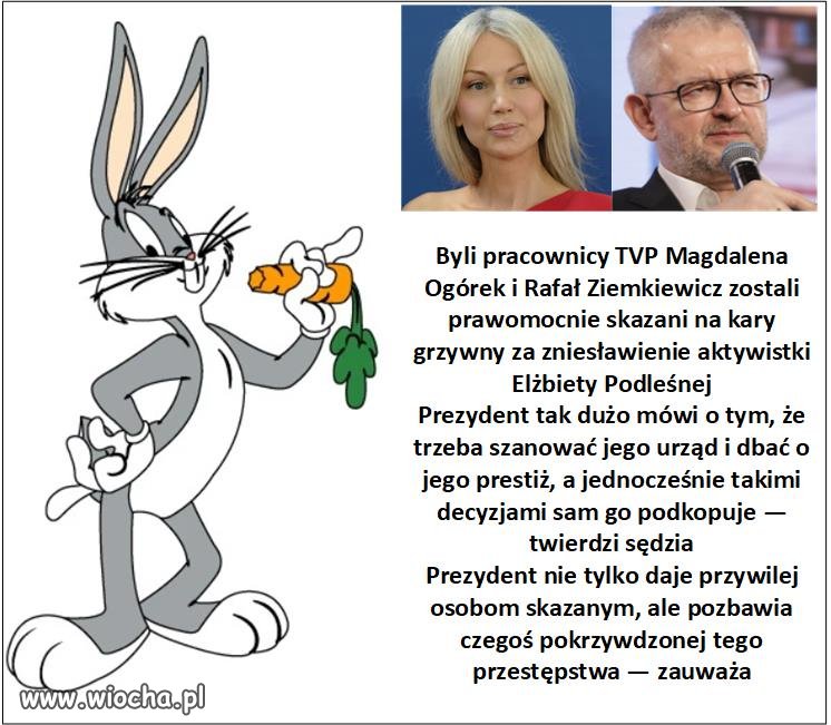 Komu, komu bo idę do domu. Ułaskawienie za darmo.