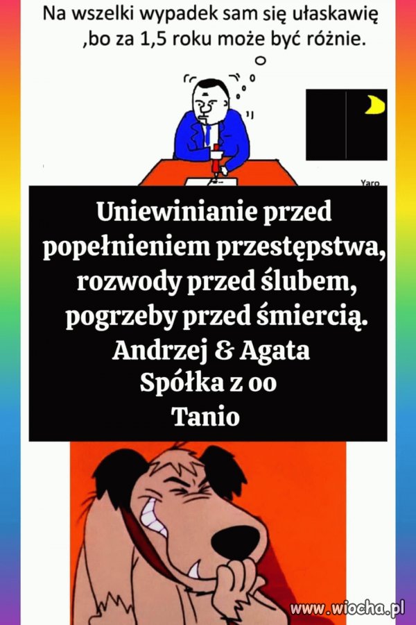 Przezorny Anżej