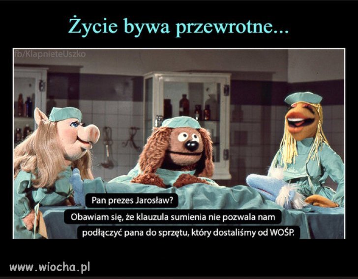 Dla PiSu i sekty kosciola, tylko respiratory Szumowskiego!