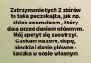 Potwierdzam