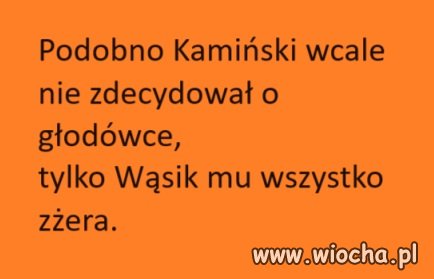 Tylko dlatego Kamiński głoduje: