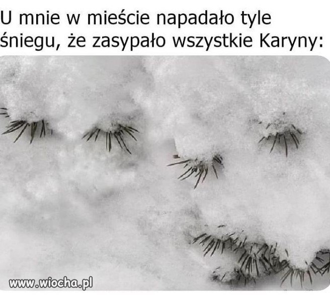 Zamarznięte niunie