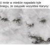 Zamarznięte niunie