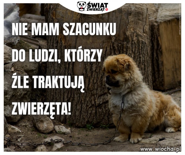 Potwierdzam