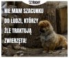 Potwierdzam