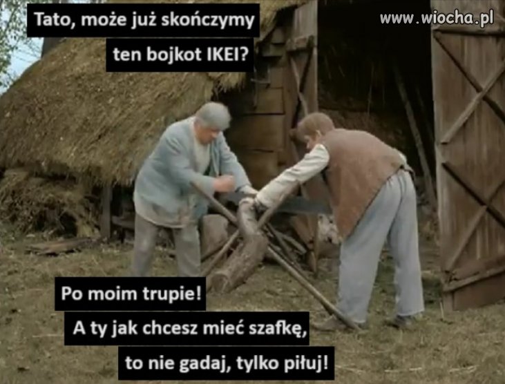 Sami swoi, PiSu i Konfederosji...