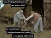 Sami swoi, PiSu i Konfederosji...