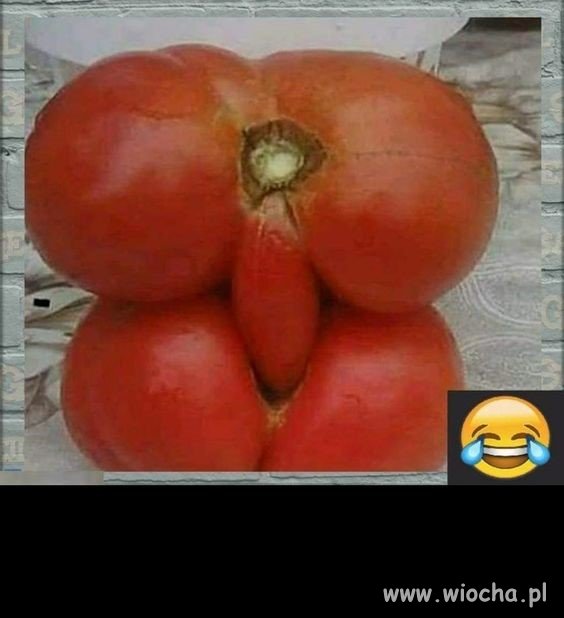 żywy seks