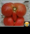 żywy seks