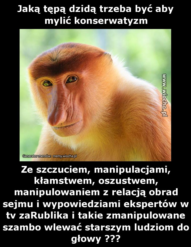 Jaką tępą dzidą trzeba być aby mylić konserwatyzm
