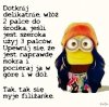 Porada.