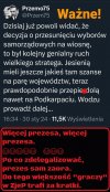 Samozaoranie pisowskie