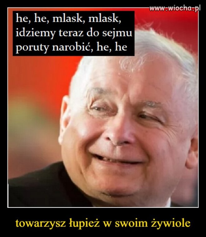 Oj, będzie się działo. Mistrz szczucia i knucia ma