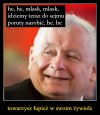 Oj, będzie się działo. Mistrz szczucia i knucia ma