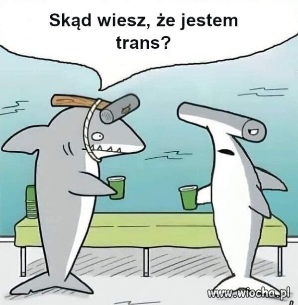 Tranzystor.